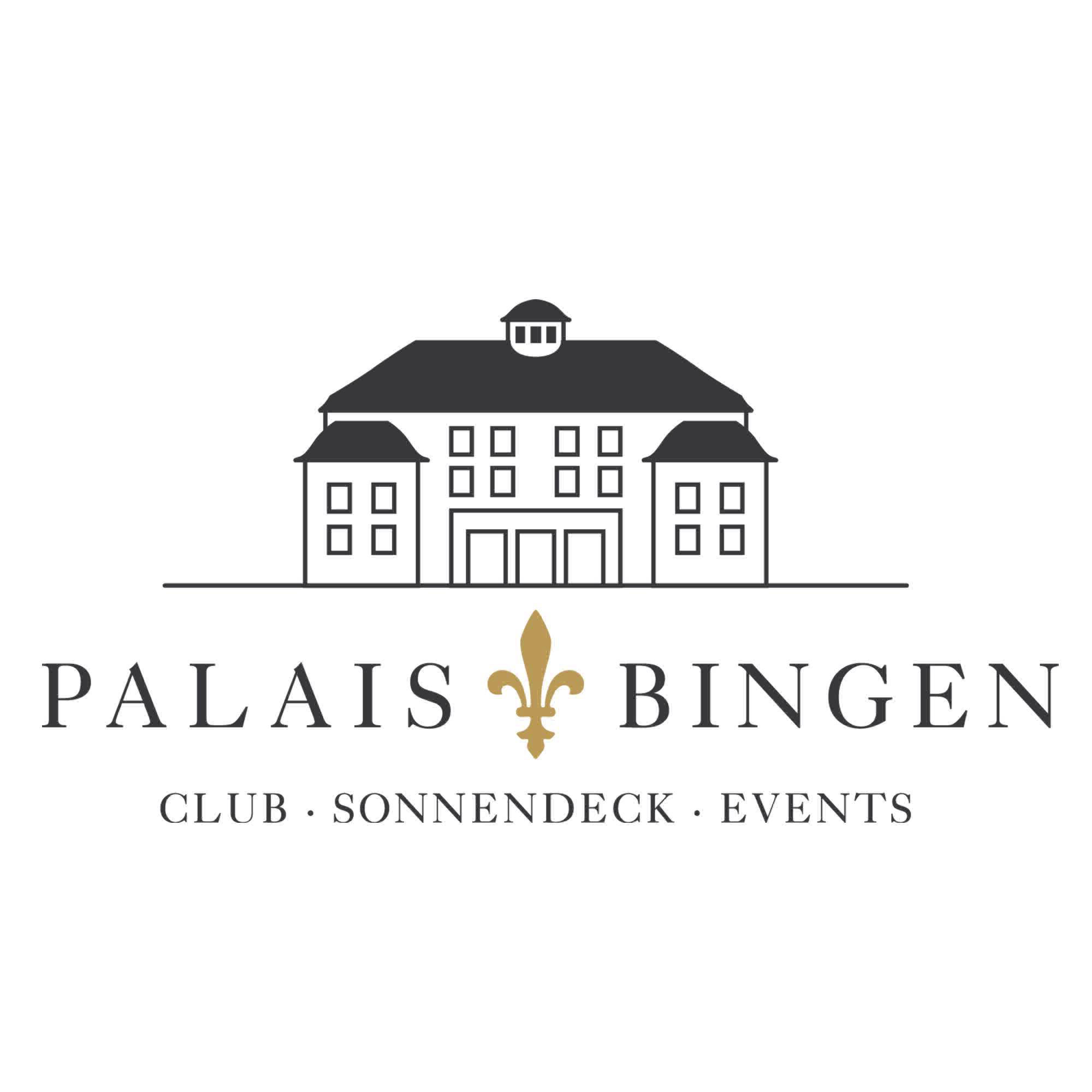 Palais Bingen